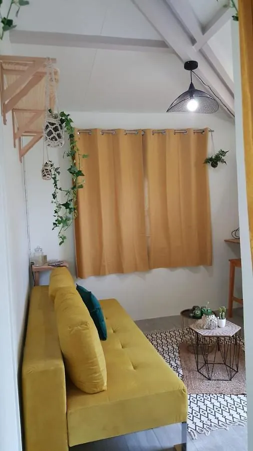 Appartement Le Cacaoyer à Trinité