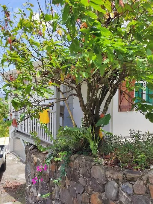 Appartement Le Cacaoyer à Trinité