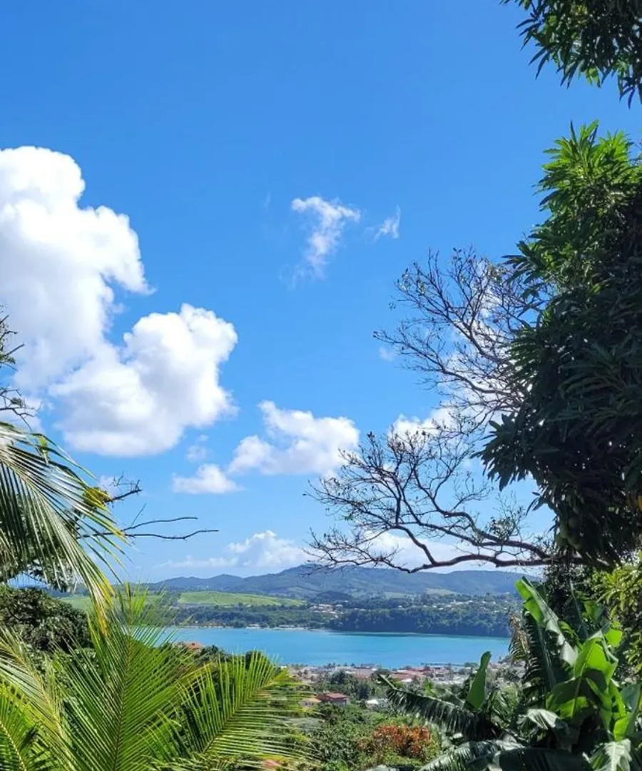 Appartement Le Cacaoyer à Trinité  Martinique